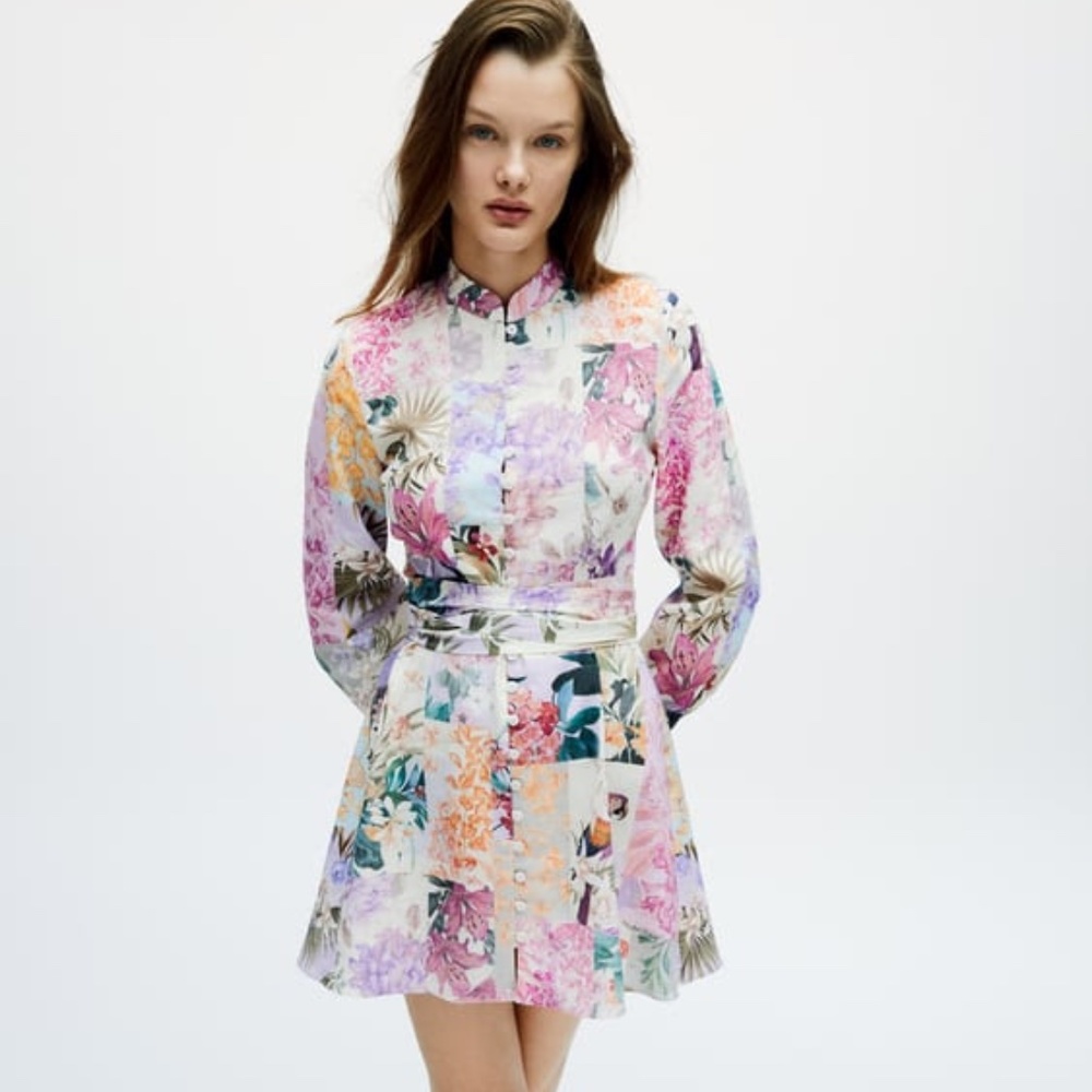Rare NWT Viral TikTok Zara Floral Print Dress - Size Large